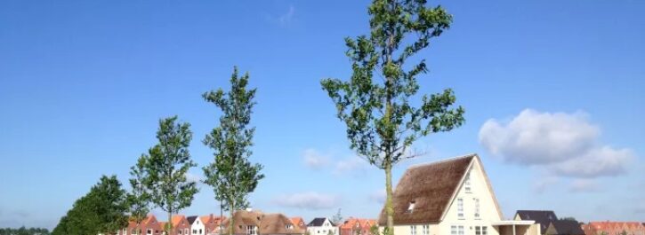 De zomer begint goed in Meerstad! Open Dag 14 juni a.s.