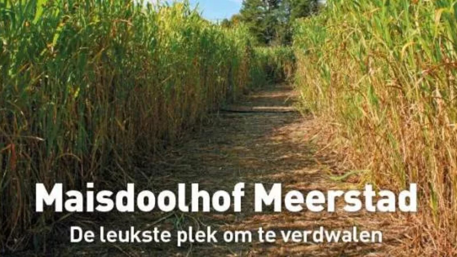 Zaterdag 2 augustus: opening Maisdoolhof Meerstad!