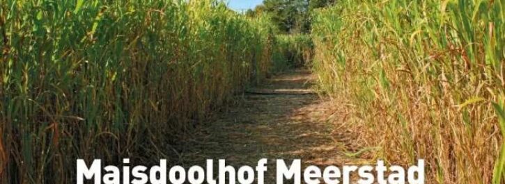Zaterdag 2 augustus: opening Maisdoolhof Meerstad!