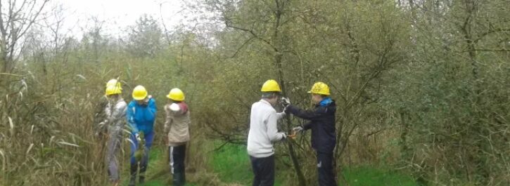 Scholieren gezamenlijk aan de slag in de buitenlucht tijdens natuurwerkdag