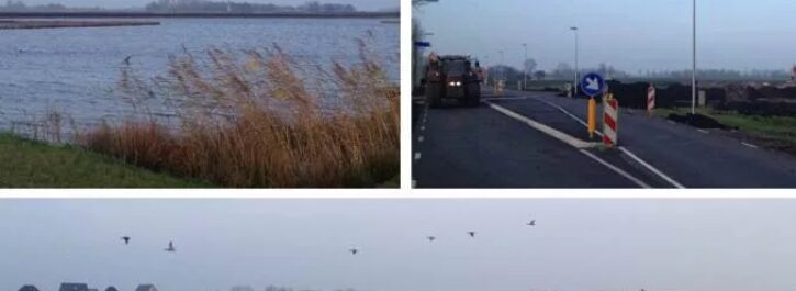 Meerstad verandert zienderogen!