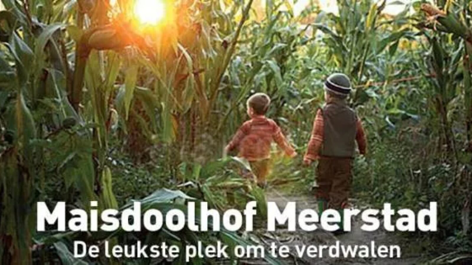 Maisdoolhof Meerstad is weer verrezen!
