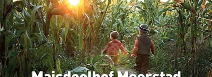 Maisdoolhof Meerstad is weer verrezen!