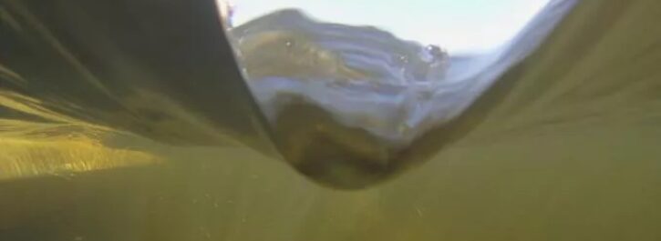 Goede waterkwaliteit Woldmeer