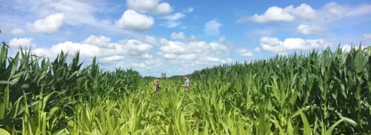 Nieuwe avonturen in Maisdoolhof Meerstad