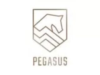 Pegasus Vastgoed Pegasus Vastgoed