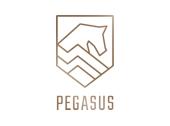 Pegasus Vastgoed