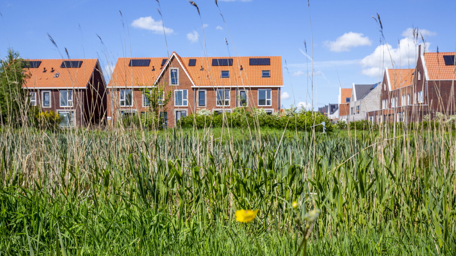 Huurwoningen Groenewei