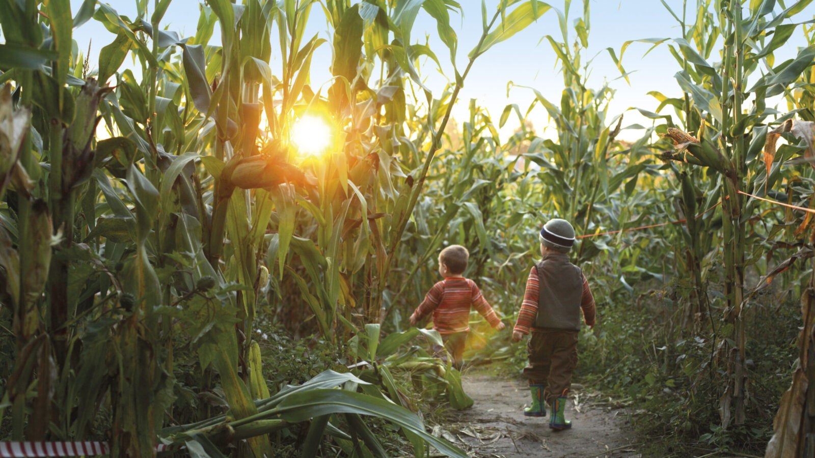 Zaterdag 1 oktober lantaarntocht in Maisdoolhof Meerstad